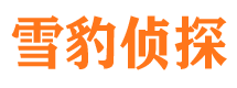 黄陂市侦探调查公司